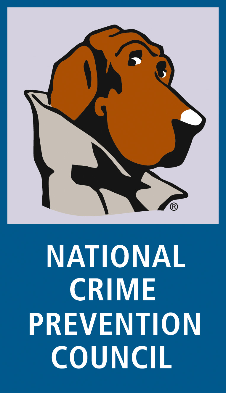 national crime prevention essay